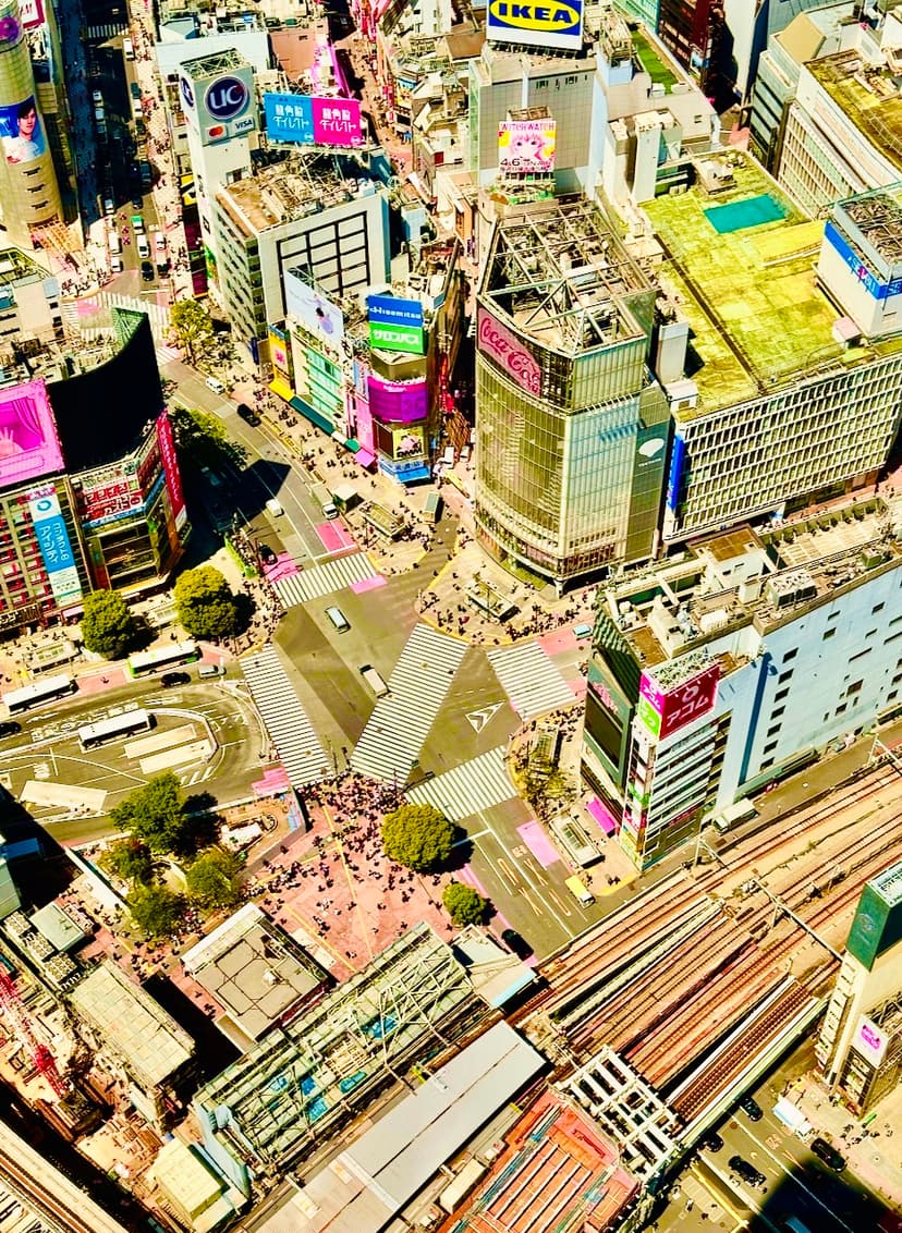 Shibuya HD
